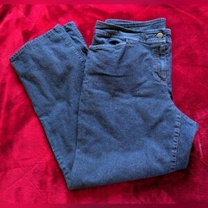 Eileen Fisher Straight Leg Jeans L